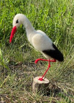 Storch 